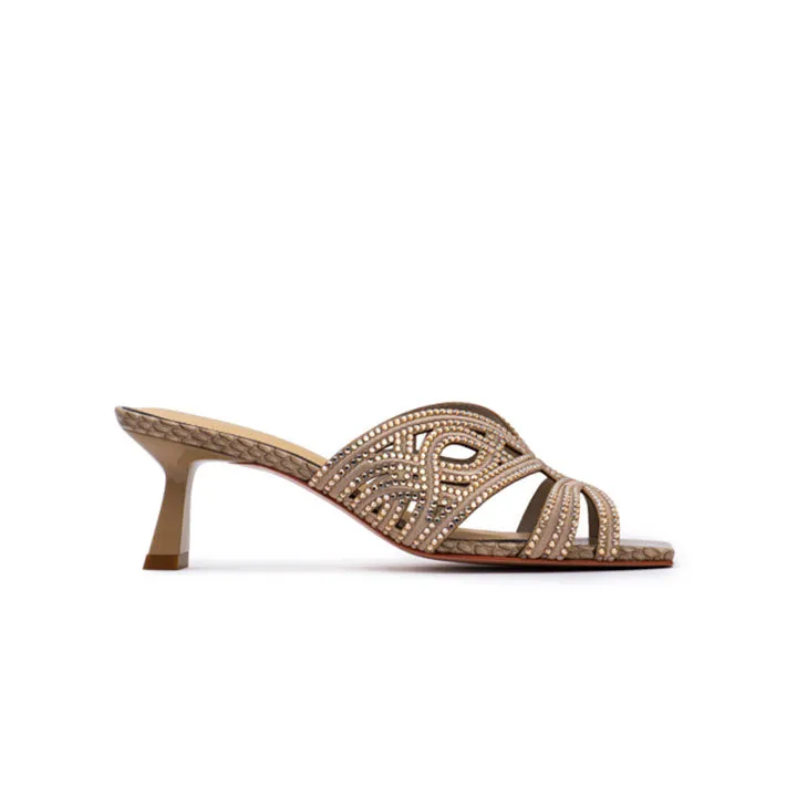 Fenisia 20 Years Exclusive
