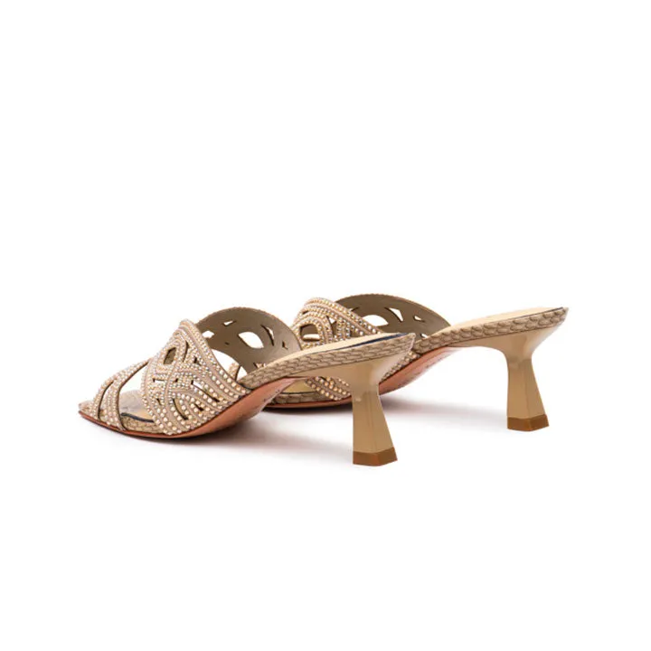 Fenisia 20 Years Exclusive