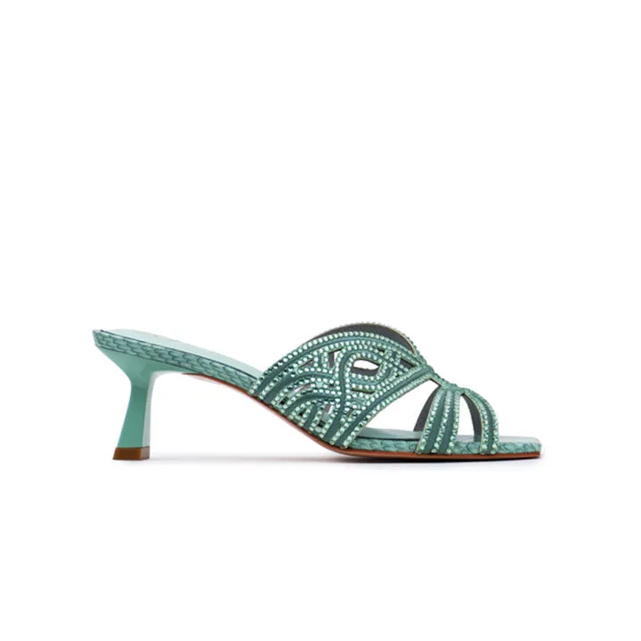 Fenisia 20 Years Exclusive