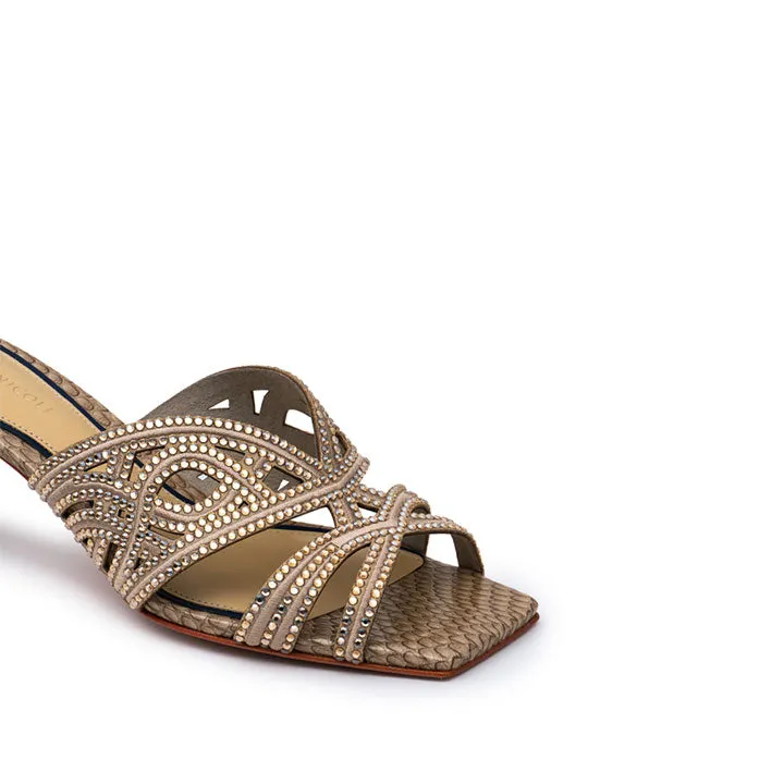 Fenisia 20 Years Exclusive