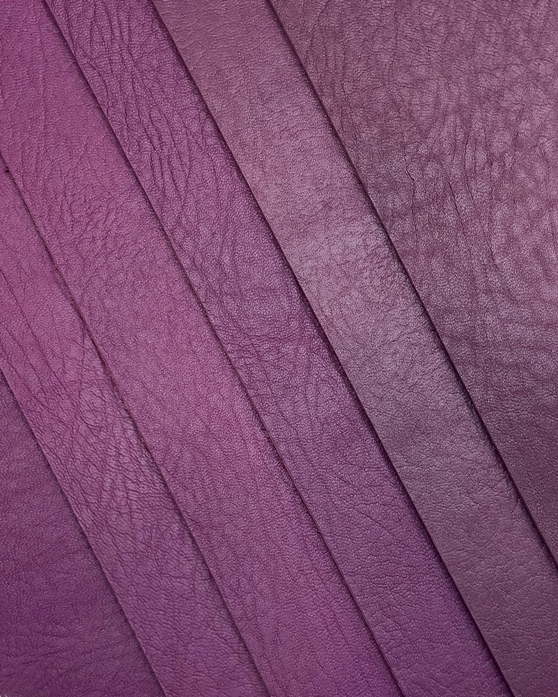 Leather Color Sample Set