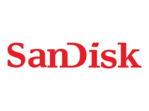 SanDisk AF3 - Flash memory card - 32 GB - SD - for ThinkSystem ST50 4X77A12158