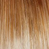 Stepping Out Wig by Gabor | Synthetic (Mono Part)