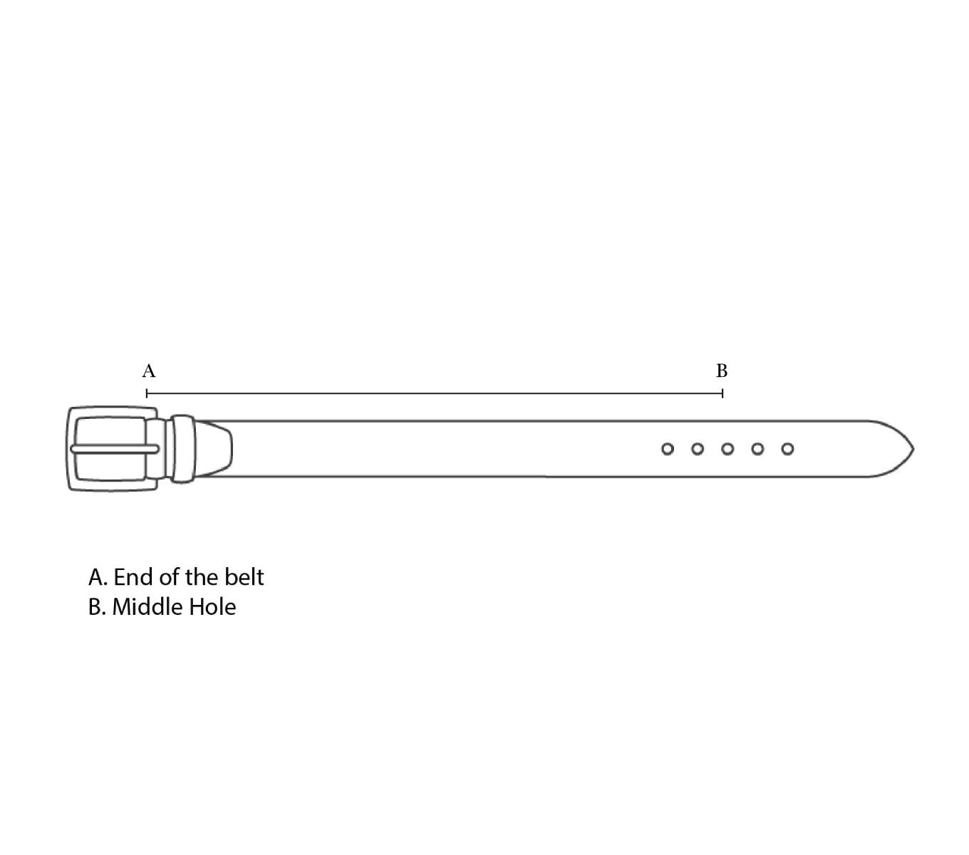 TWIN LOOP BELT